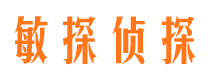 连江侦探公司